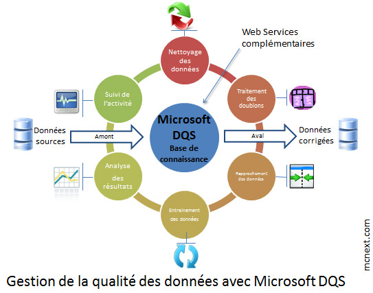 INFEENY_Qualite_des_donnees_Microsoft_dqs